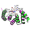 jung-soll-phosphorylation_of_the_outer_membrane_mitochondrial_protein_om64_influences_protein_import_into_mitochondria_550.100x0.jpeg